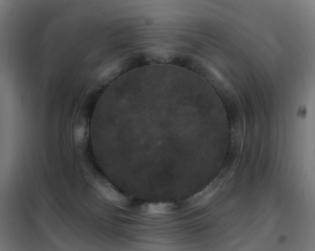 X0000102230134200807251244