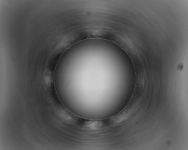 X0000102230135200807251244