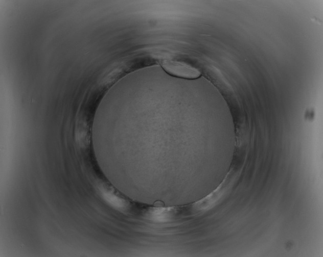 X0000102230136200807251244