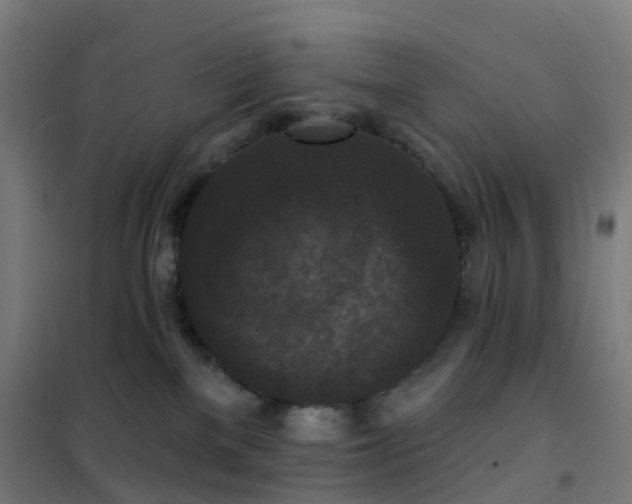 X0000102230137200807251244