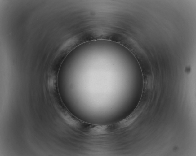 X0000102230138200807251244