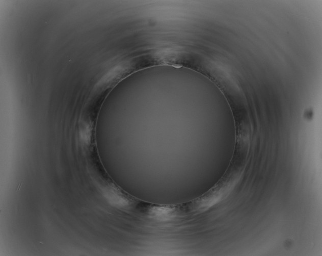 X0000102230139200807251244