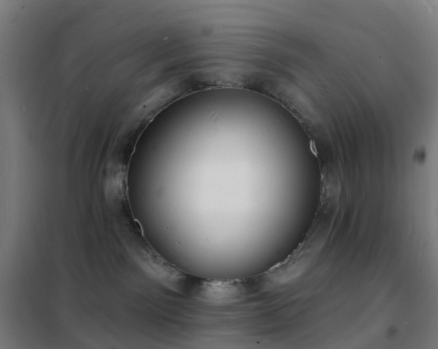 X0000102230141200807251243