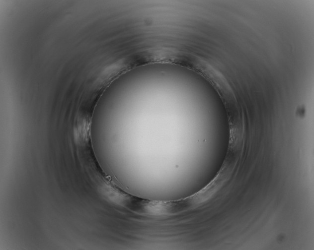 X0000102230142200807251243