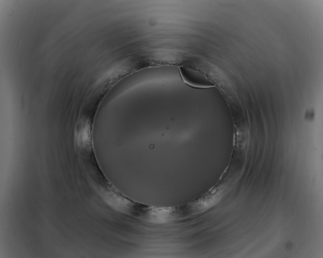 X0000102230143200807251243