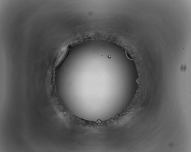 X0000102230144200807251243