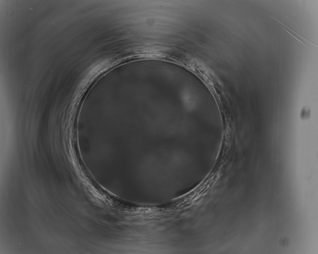 X0000102230145200807251243