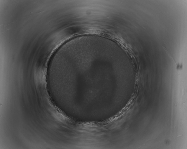 X0000102230146200807251243