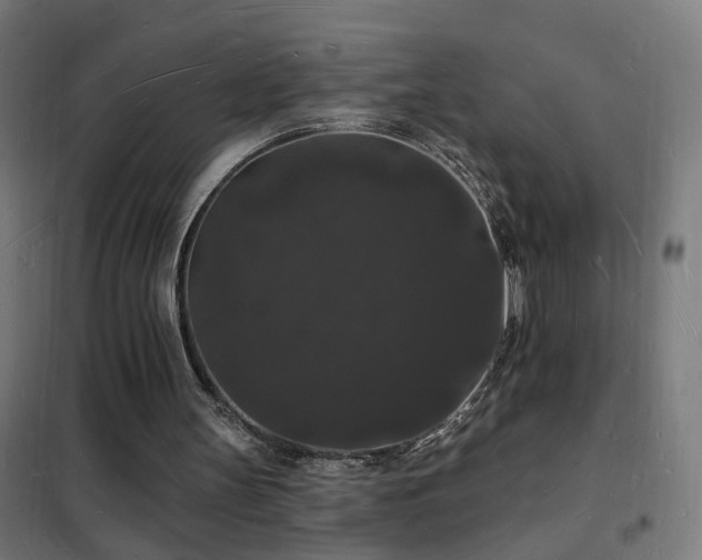X0000102230147200807251243