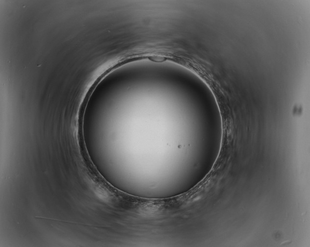 X0000102230148200807251243
