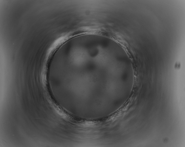 X0000102230149200807251243