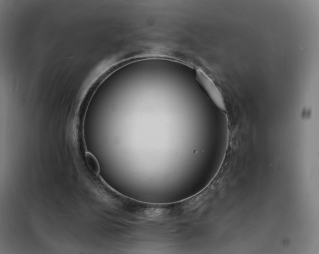 X0000102230152200807251243