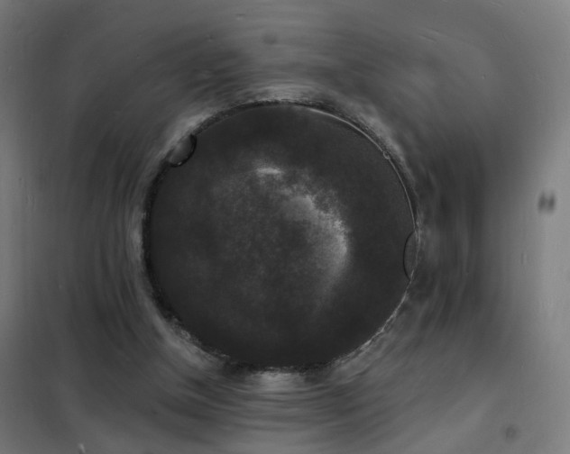 X0000102230154200807251243