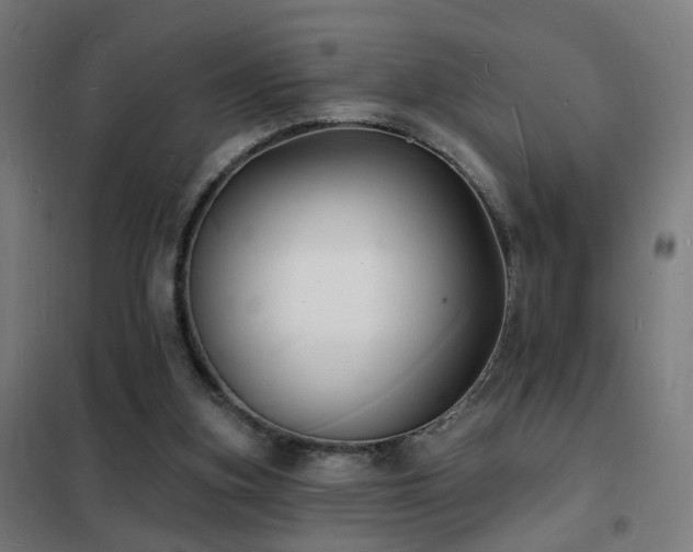 X0000102230155200807251243