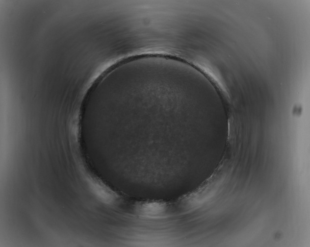 X0000102230156200807251243