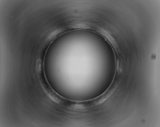 X0000102230157200807251243