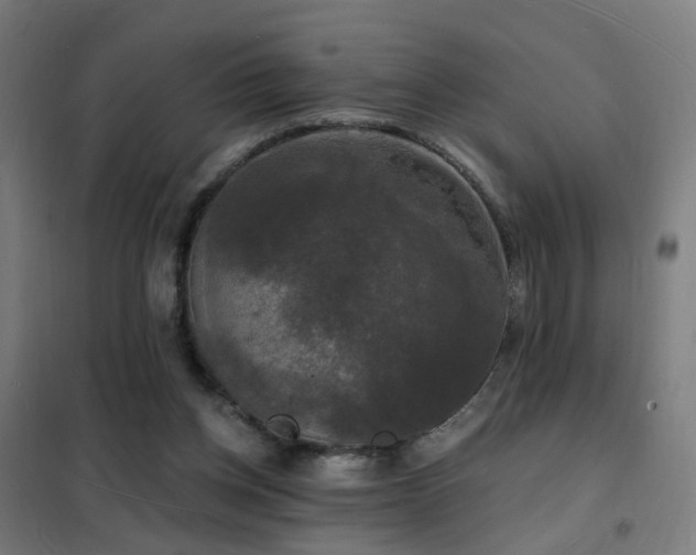 X0000102230158200807251243