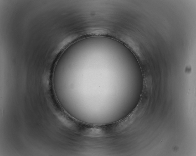 X0000102230159200807251243