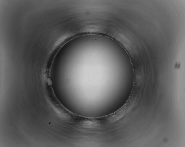 X0000102230160200807251243