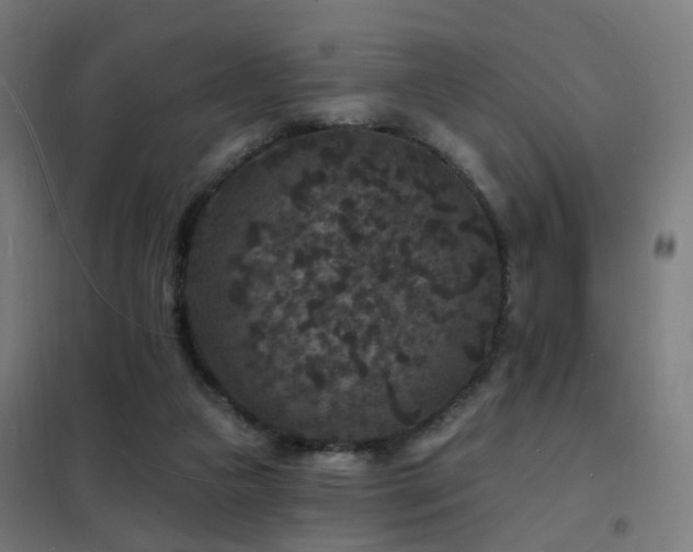 X0000102230161200807251243