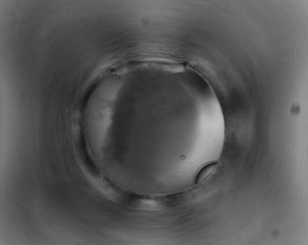 X0000102230167200807251243