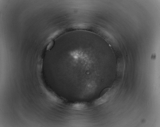X0000102230168200807251243