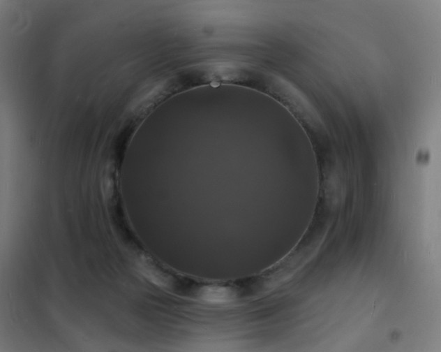 X0000102230169200807251243