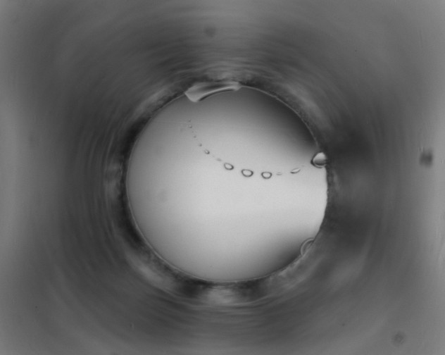 X0000102230171200807251243