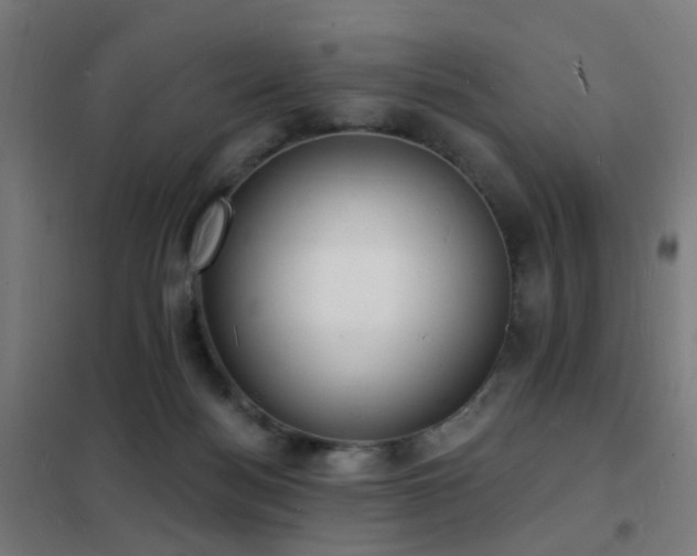X0000102230172200807251243