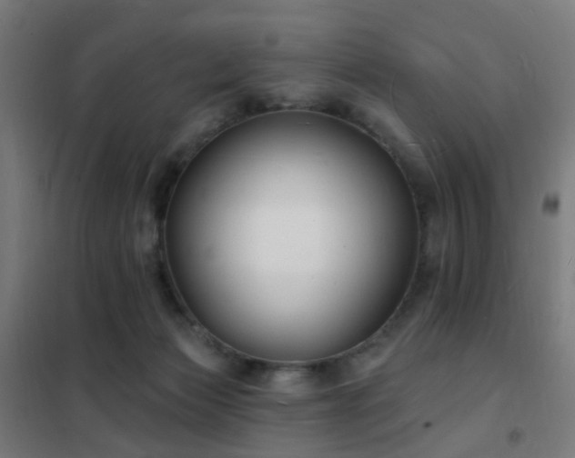 X0000102230173200807251243