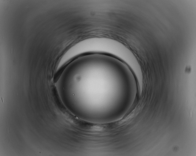 X0000102230176200807251243