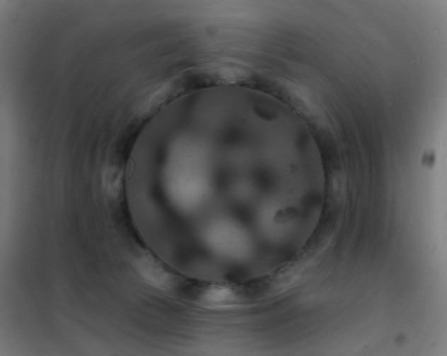 X0000102230177200807251243