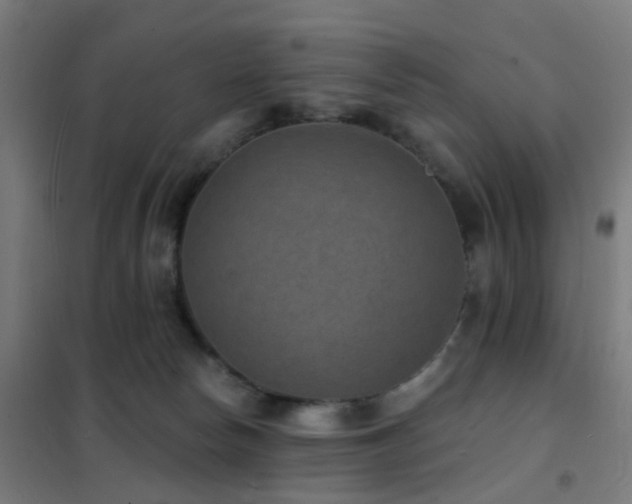 X0000102230178200807251243