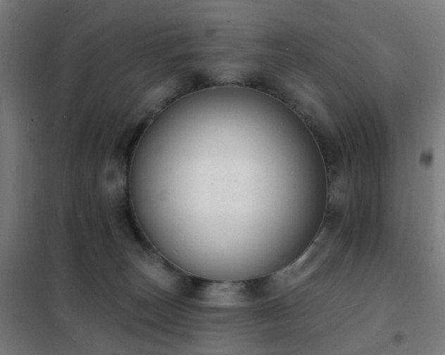 X0000102230179200807251243