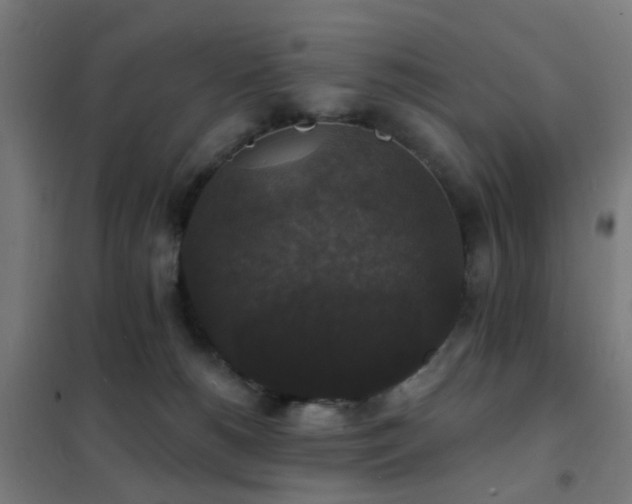 X0000102230180200807251243