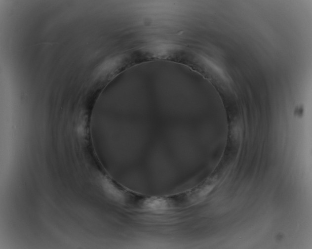 X0000102230181200807251243