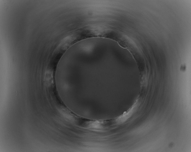 X0000102230182200807251243