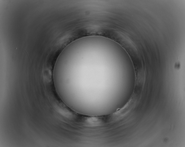 X0000102230183200807251243