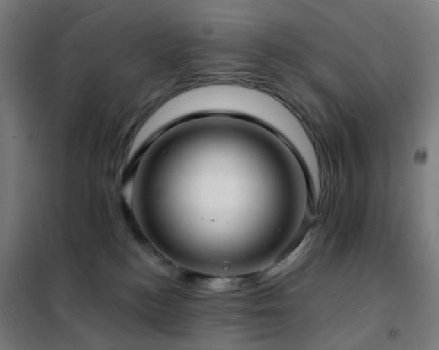 X0000102230184200807251243