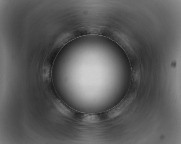 X0000102230185200807251243