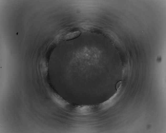 X0000102230186200807251243