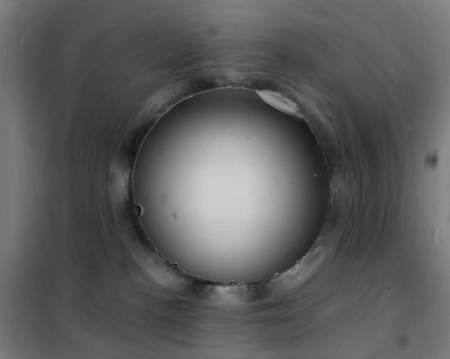 X0000102230188200807251243