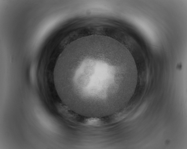 X0000102230189200807251243