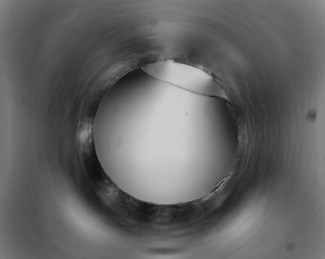X0000102230191200807251243