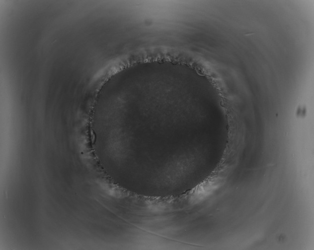 X0000102230192200807251243