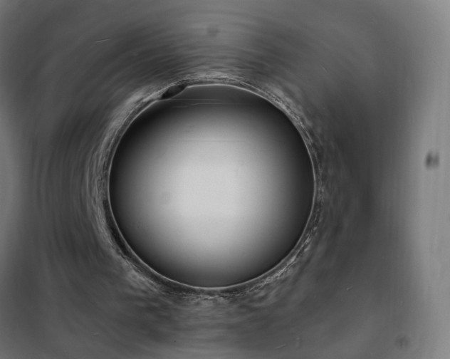 X0000102230193200807251243