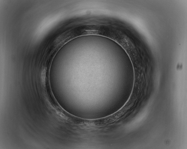 X0000102230194200807251243