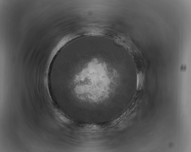 X0000102230195200807251243