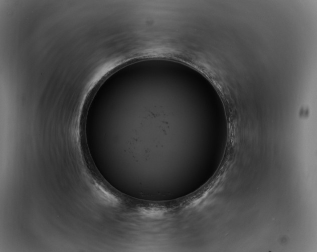 X0000102230196200807251243