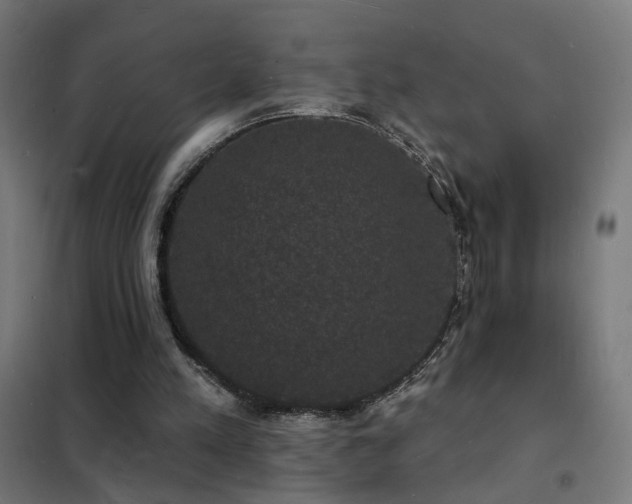 X0000102230197200807251243